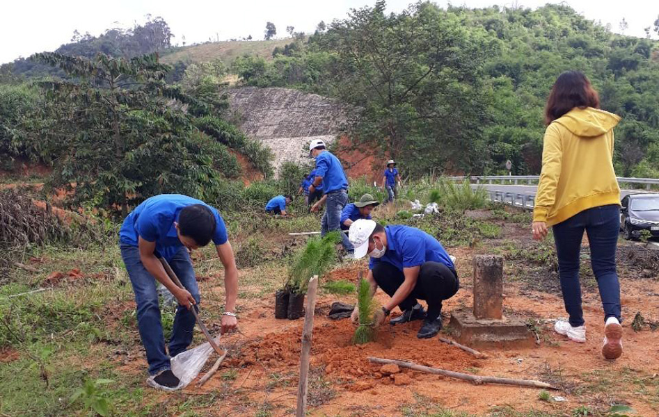 Chi đoàn Sở Tài chính tham gia trồng thông ba lá tạo cảnh quan tuyến đường tránh đèo Măng Đen