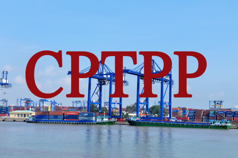 Ban hành Nghị định Biểu thuế Xuất khẩu ưu đãi, biểu thuế nhập khẩu UĐĐB của Việt Nam thực hiện CPTPP