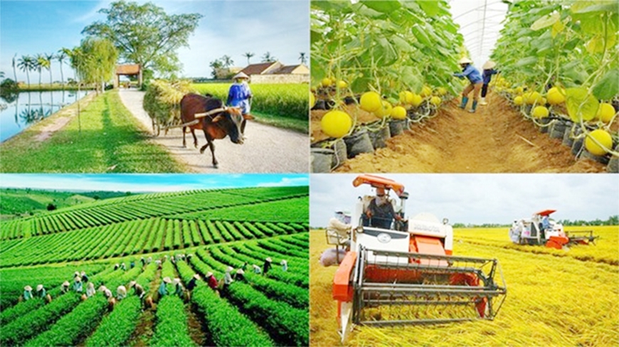 Ủy ban nhân dân tỉnh giao kế hoạch thực hiện các chương trình mục tiêu quốc gia năm 2024